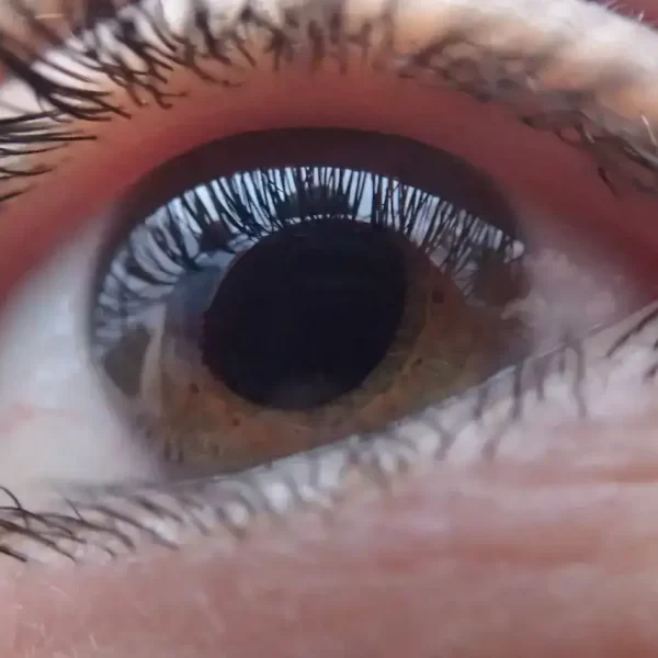 A close up of an eye