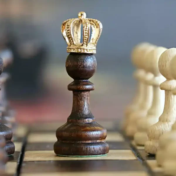 A pawn with a crown in the chess board